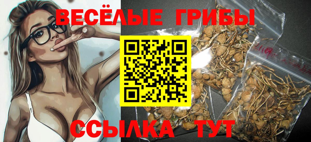Псилоцибиновые грибы Cubensis  Вход с VPN  Котлас  Псилоцибиновые грибы прущие грибы 