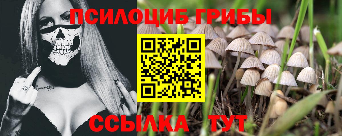 Амфетамин Котлас